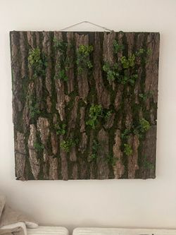 Plant wall art