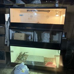 Reptile Cages