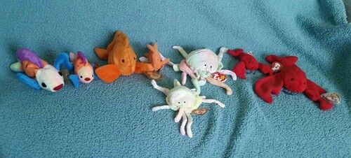 Beanies! Babys, Buddys and Teenies