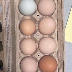 Fresh Farm Eggs- Unwashed