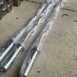 New Olympic Curl Bars
