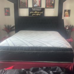Velvet Canopy Bedframe