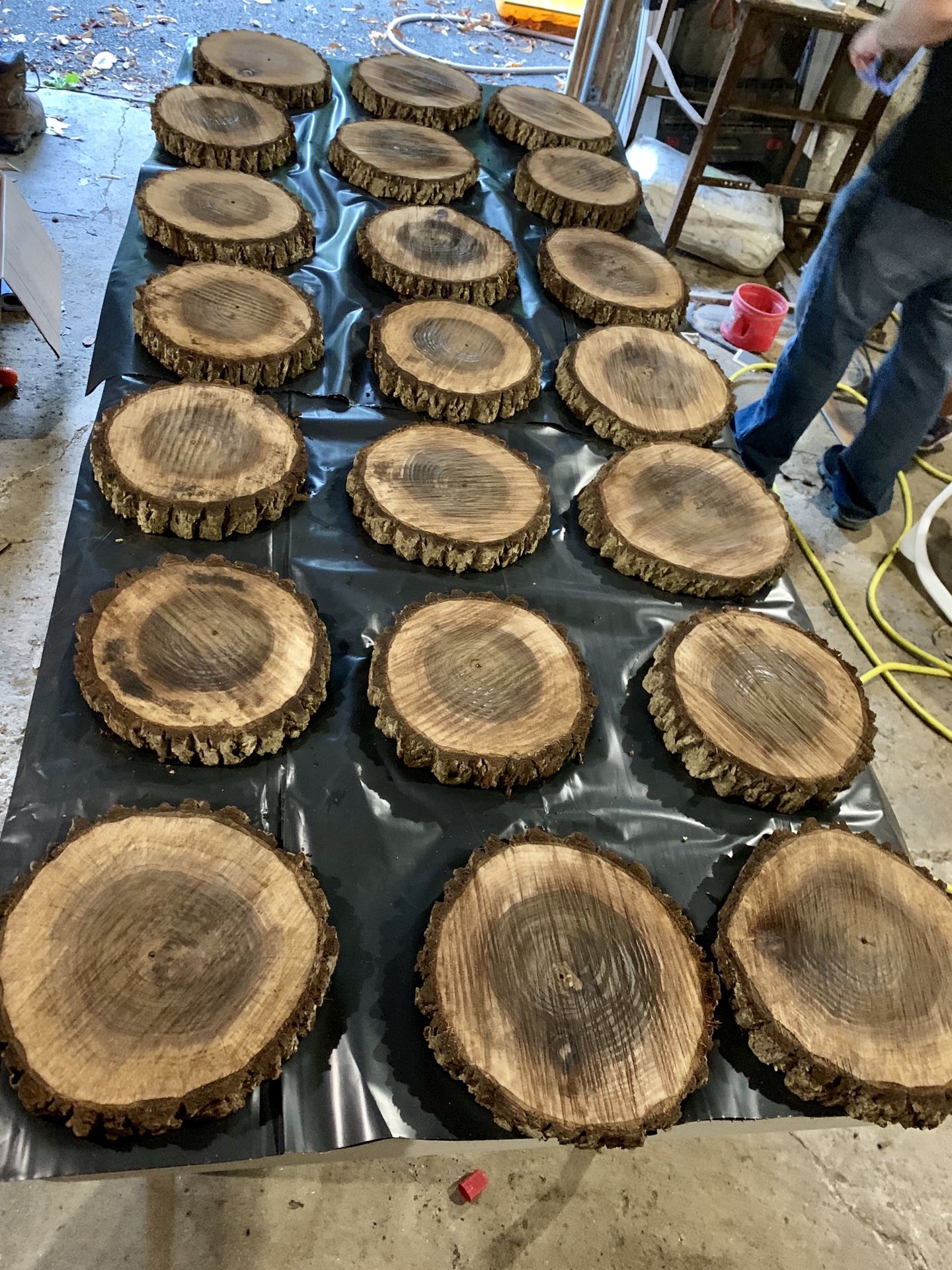 Black Walnut Wood Slices Wood Slabs Wood Centerpieces Live Edge