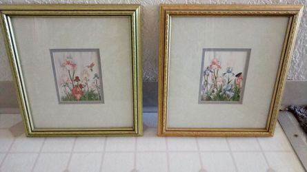 8x11 Nature pictures