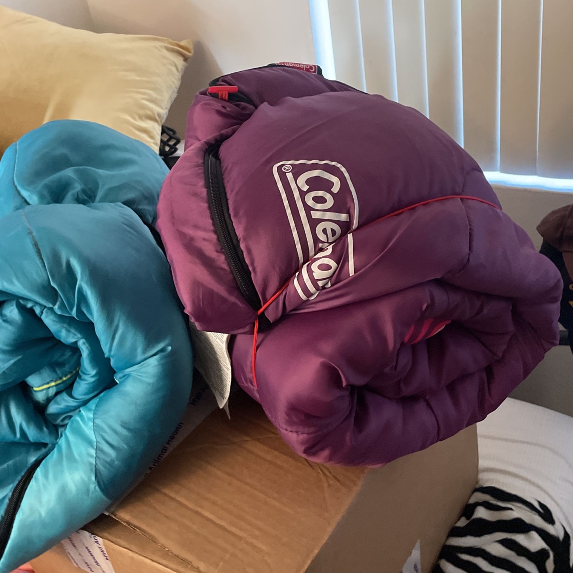 2 Kids Sleeping Bags