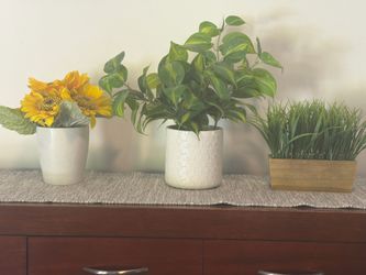 Artificial Plants $3 each