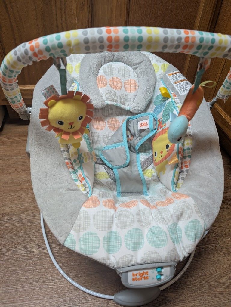 Baby Bouncer