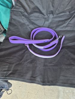 Dog Leash & Collar