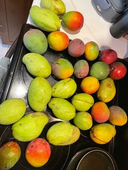 Mangoes