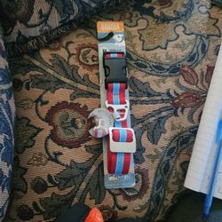 Wander Dog Collar Size MEDIUM 12-19"