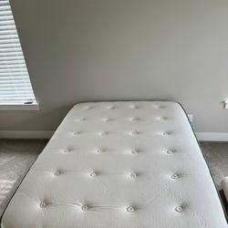 Avocado Green Mattress Organic - Guestroom