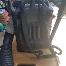 Echo Blower