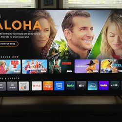65 Inch VIZIO 