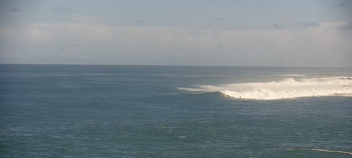 Surfboard Sale Trade Longboard Surfboards 