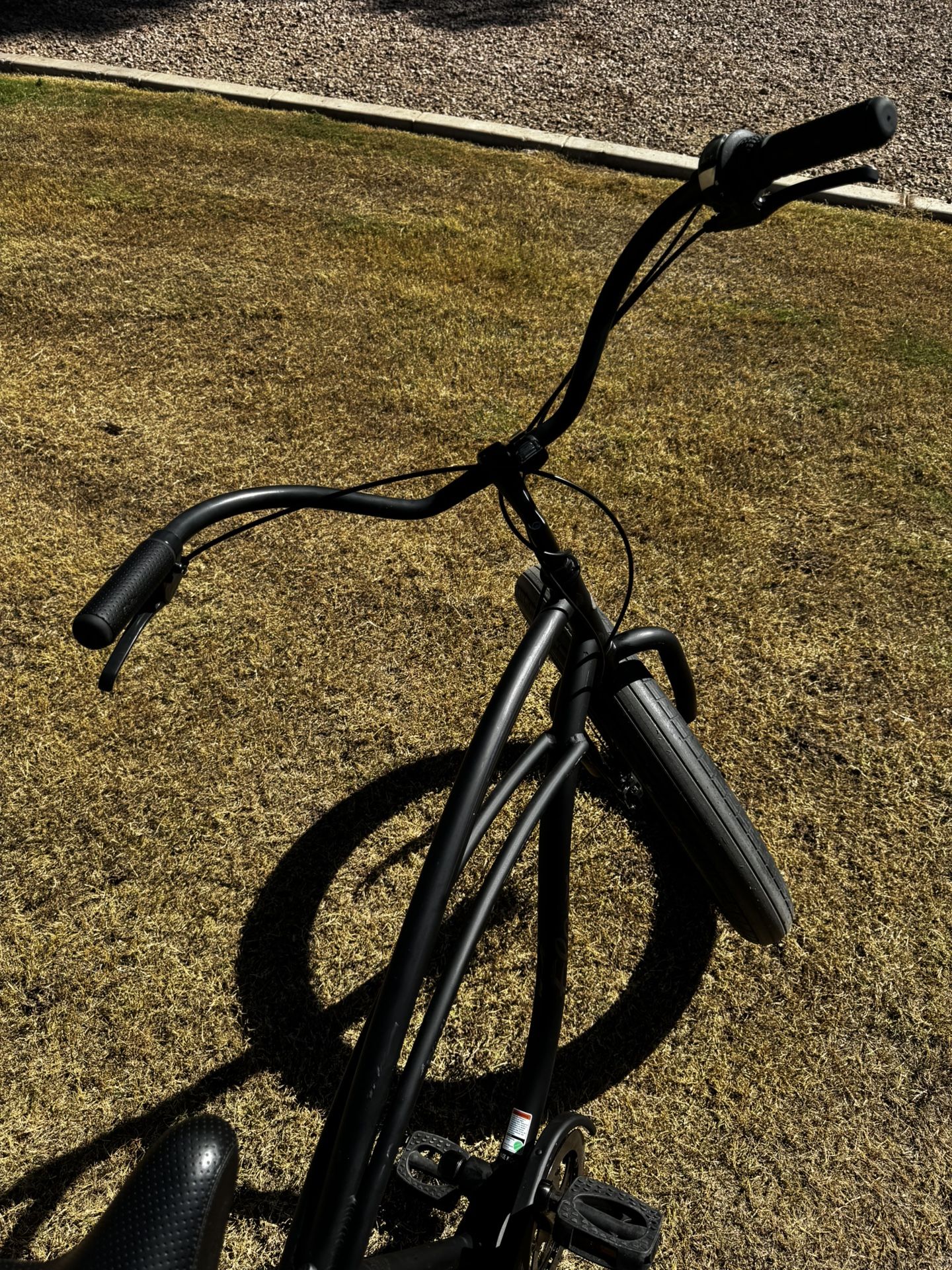 Adult Electra Bicycle