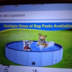 Portable  Folding Pet Pool