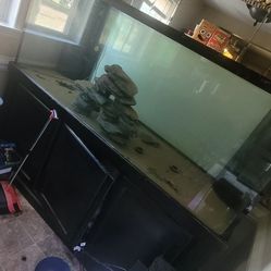 220 Gallon Fish Tank & Stand