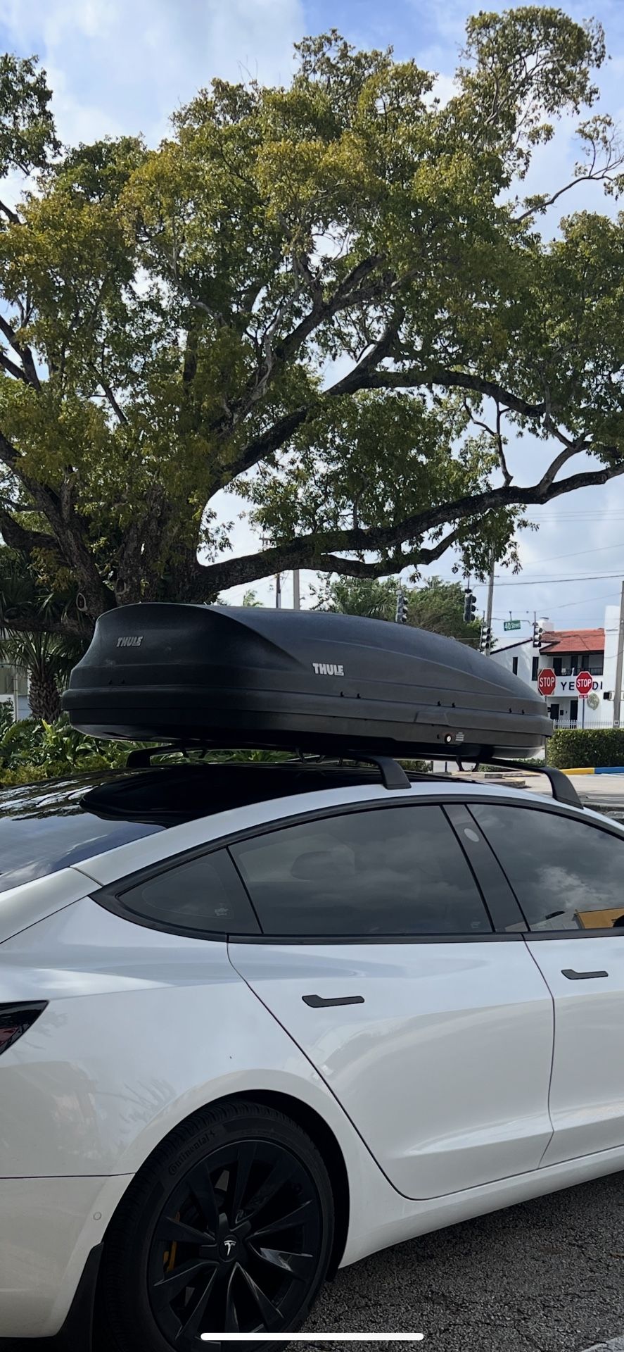 Thule Pulse M Cargo Box Roof Storage