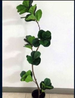 ** CLEARANCE ** 6ft Faux Fiddle Leaf Fig Tree in an 11in (Tall) Green Resin Planter @ Lasting Creations