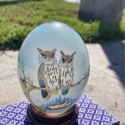 Glass Owl