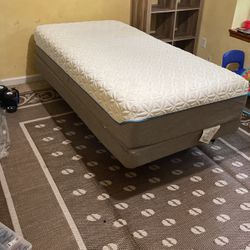 Free Twin Adjustable Bed And Mattress 