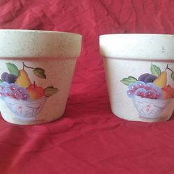 2 Decorative Flower Pots 