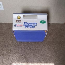 Playmate Deluxe Lunch Box