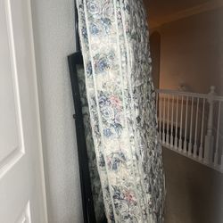 Free Twin Size Mattress 