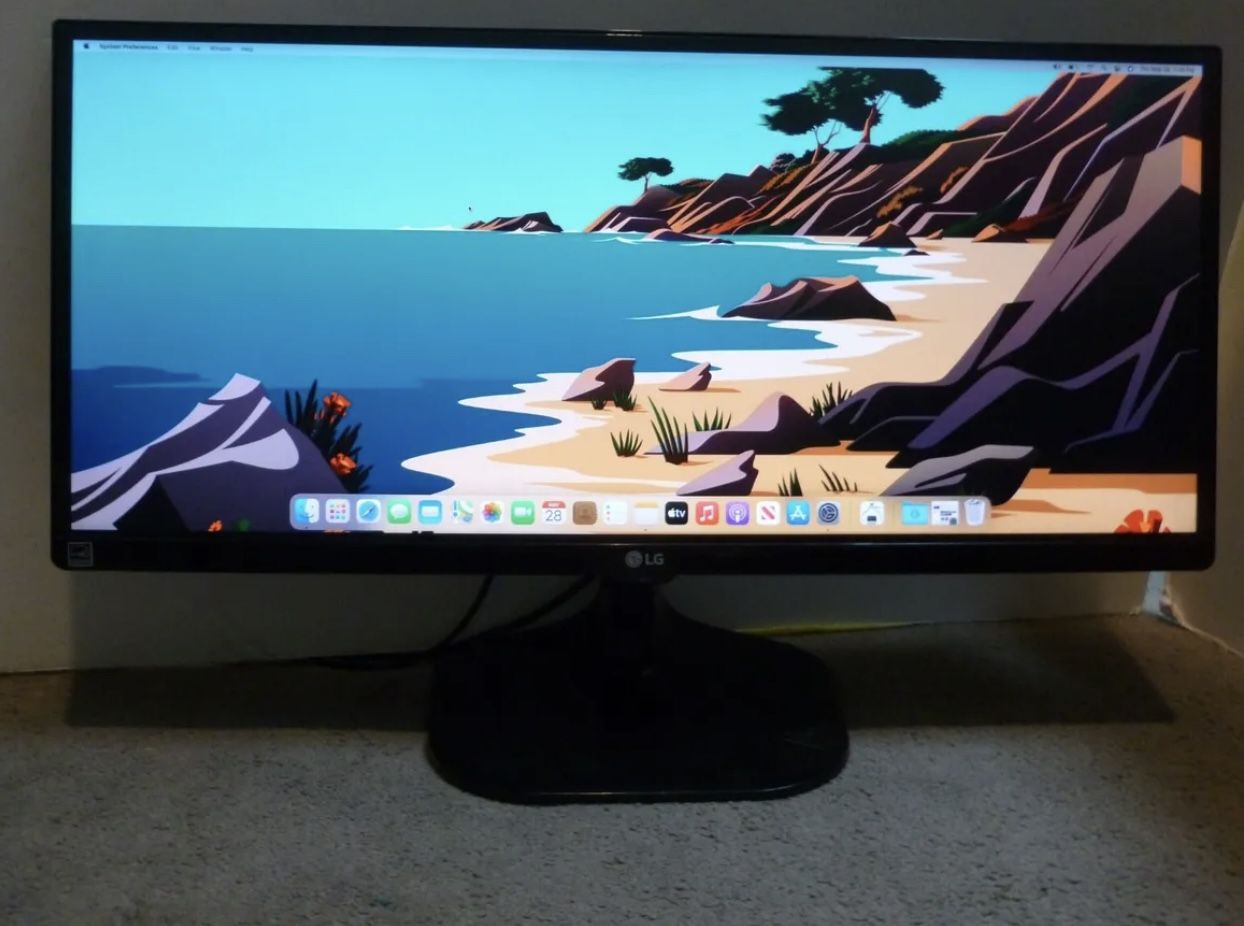 LG 29” Ultrawide Monitor