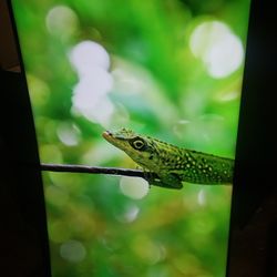 Un65ru73oo Samsung 65 Inch  Curve Smart 4k Tv