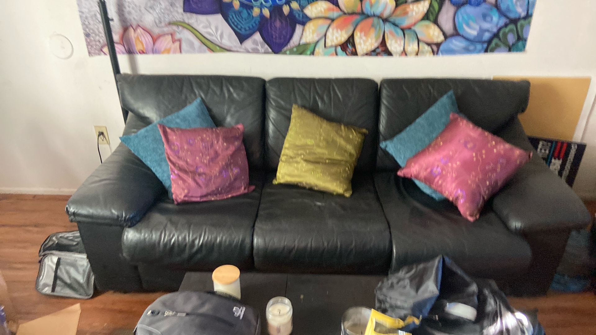 Free Leather Sleeper Sofa