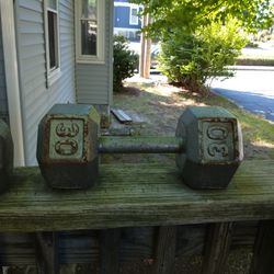 2 30lb Solid Dumbbells/Free Weight
