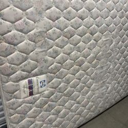 Queen Size Mattress And Box Spring By Sealy 