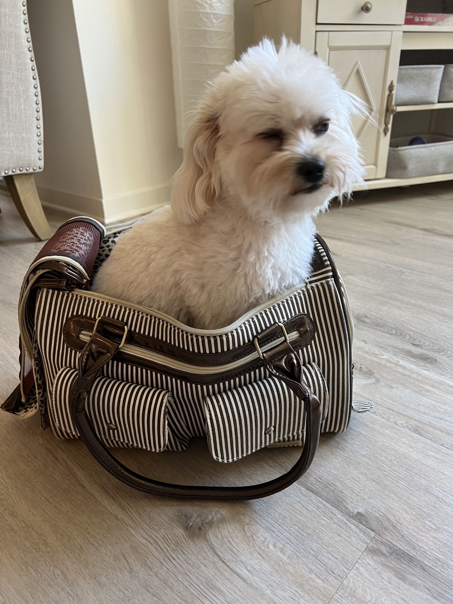 Dog Carrying Bag