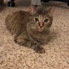 Mimi