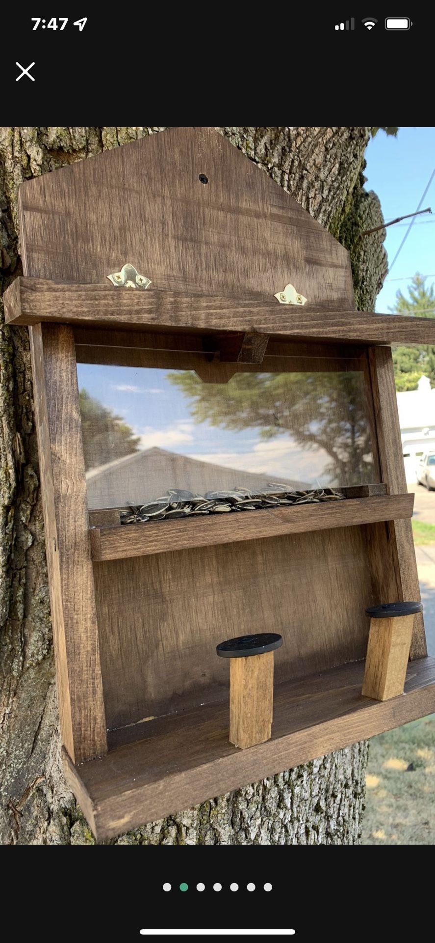 Squirrel feeder café