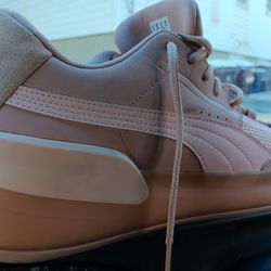 Clyde Puma
