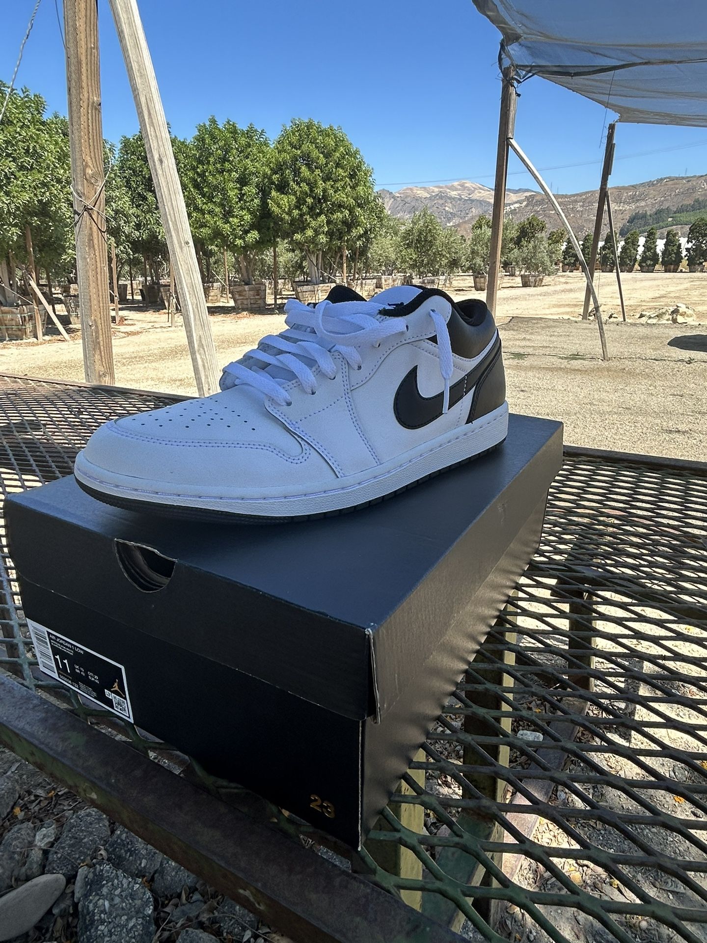 Air Jordan 1 Low