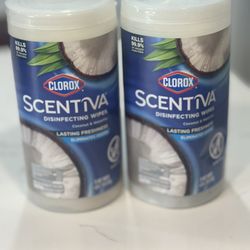 Clorox Disinfecting Wipes 75ct $8 For 2