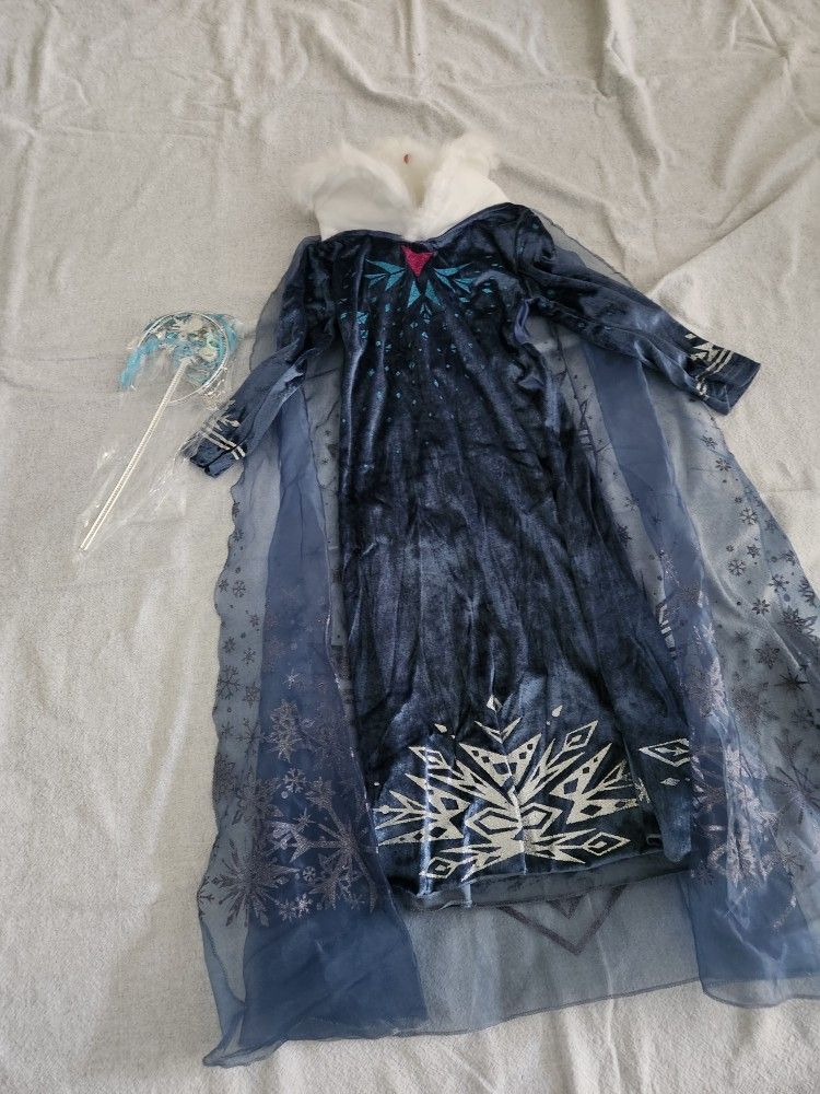 Girl Princess Costume