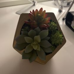 Artificial succulent