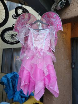 Fairy Princess Costume