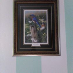 Birds