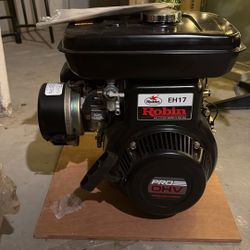 Robin Motor