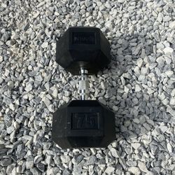 Rogue Dumbbell Single 