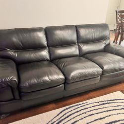 Carter Leather Sleeper Sofa