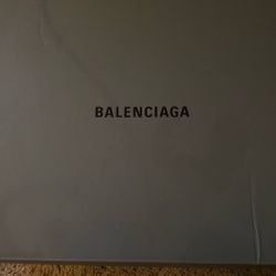 Balenciaga Runners “43”