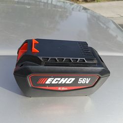 ECHO
56V High-Capacity 5.0Ah Lithium-Ion Battery with eCM Battery Management Technology and On-Board Fuel Charge Gauge