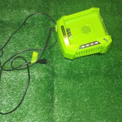 Greenworks Pro 80 Volt Lithium Max Charger 