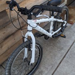 MARIN DONKEY JR. 24" Bike 